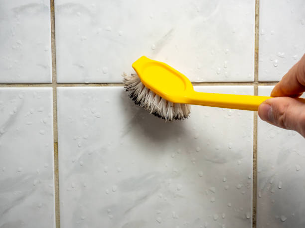 Best Certified Mold Removal  in Brecksville, OH